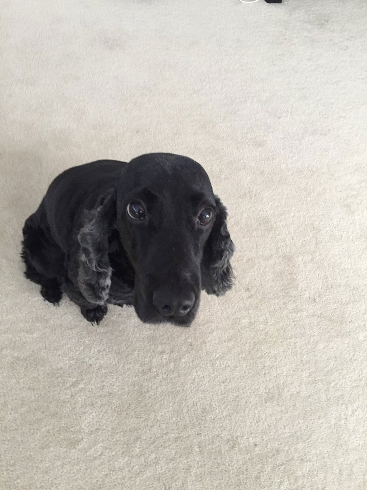 高橋克典オフィシャルブログ（提供写真）