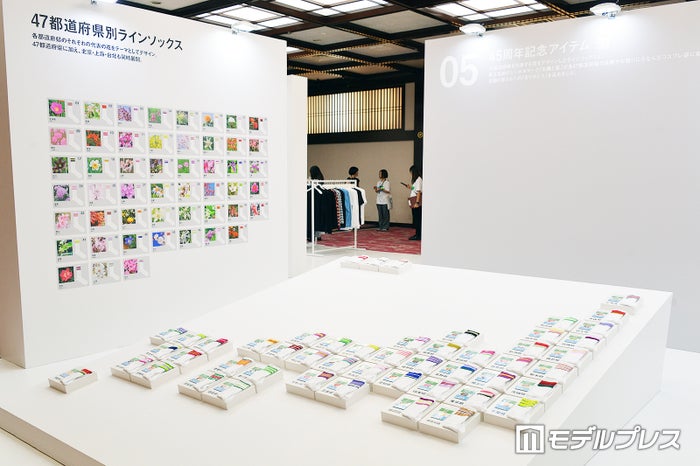 47都道府県別ラインソックス（C）モデルプレス