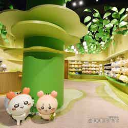 ちいかわパーク(C)モデルプレス