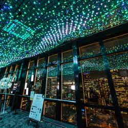 天の川イルミネーション/画像提供:東京タワー
