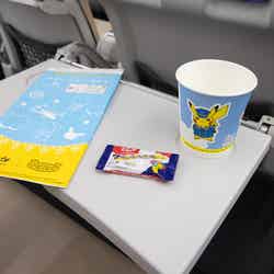 ピカチュウジェット BC/画像提供:スカイマーク