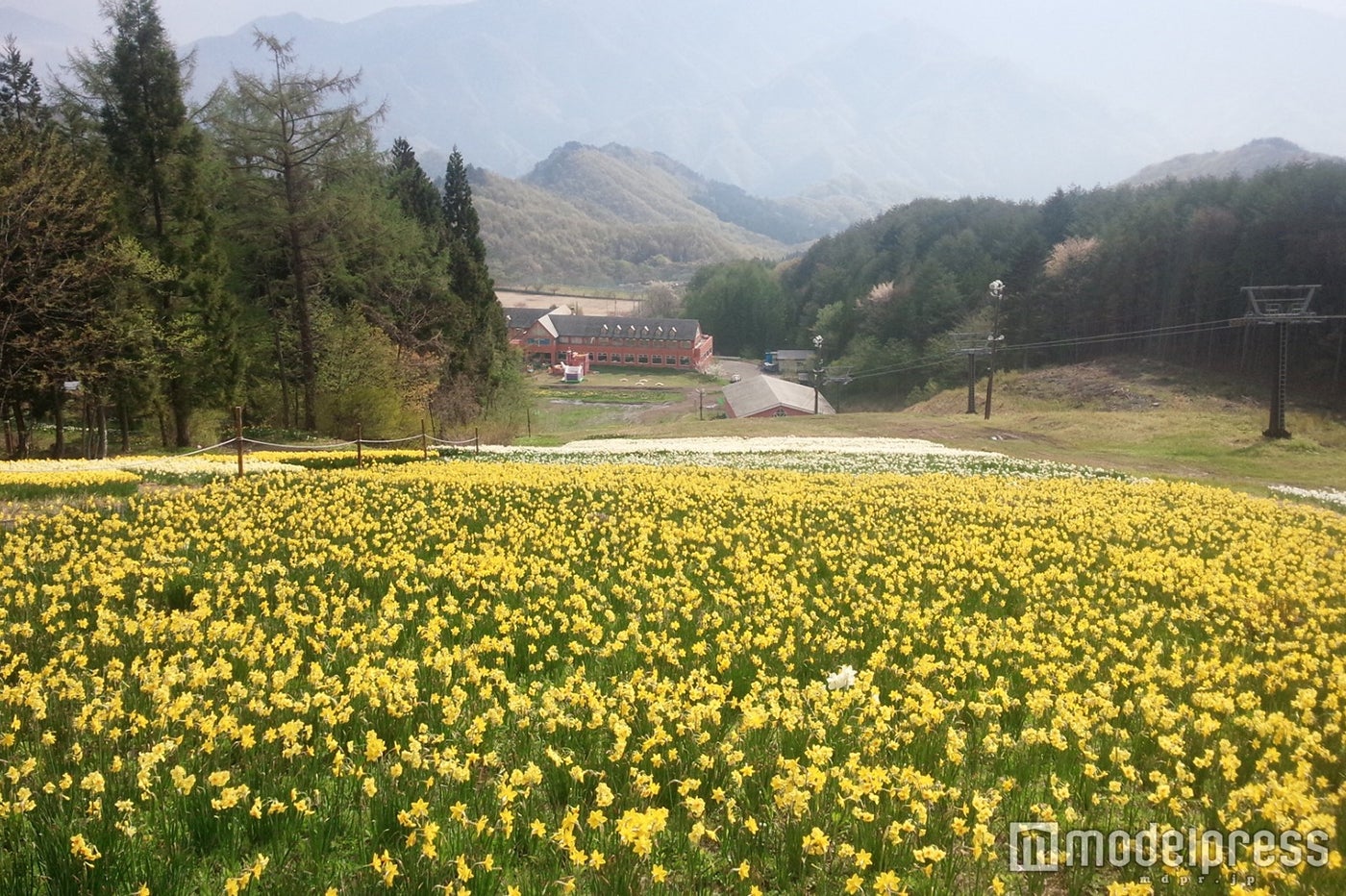 ／画像提供：群馬スノーアライアンス