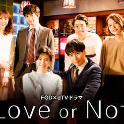 「Love or Not」（C）フジテレビジョン／エイベックス通信放送