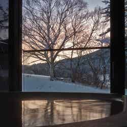 ロマ(提供写真)