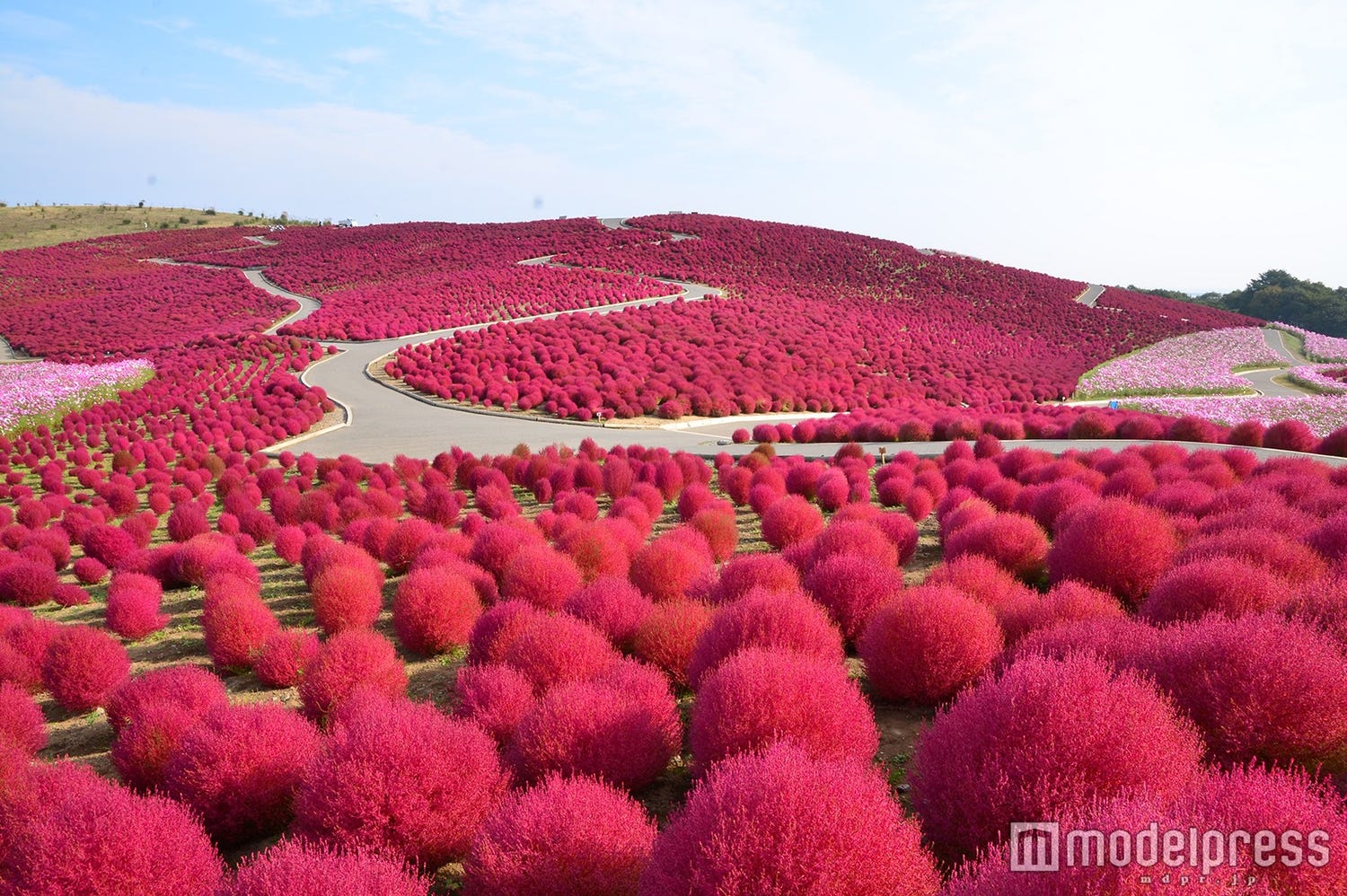 週末行ける絶景旅行へ!1泊2日で楽しむ観光プラン