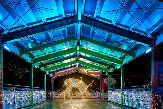 写真はイメージ／画像提供：日本テーマパーク開発