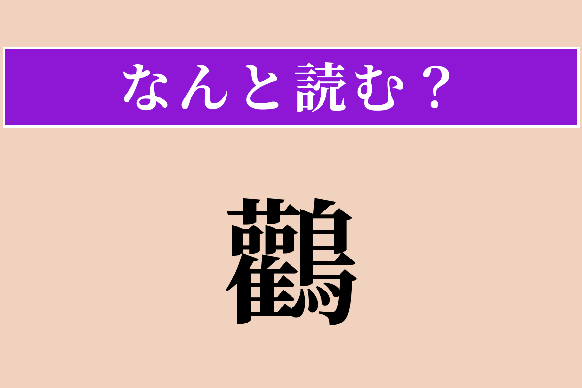 【難読漢字】「鸛」正しい読み方は？ 赤ちゃんを運んでくるという言い伝えがある鳥です