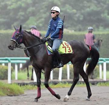 【新馬戦】マルスレジーナ 見栄えする好馬体で合格点の動き 半姉にフローラS勝ちのエリカヴィータ