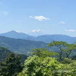 高尾山山頂からの風景(C)モデルプレス
