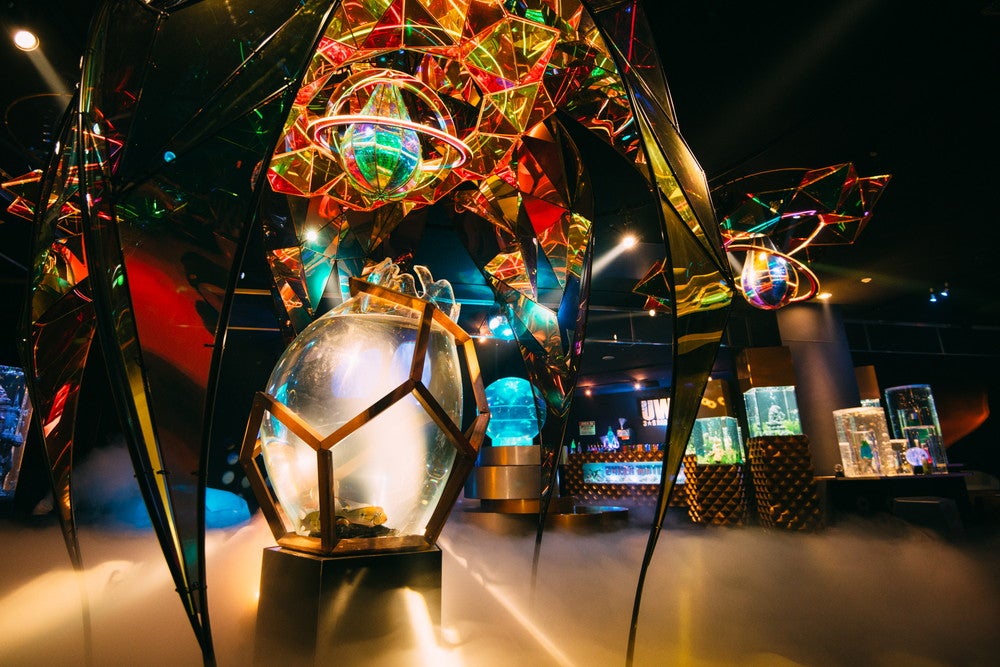 横浜に期間限定水族館「UNDER WATER SPACE」宇宙×アクアリウムの異空間