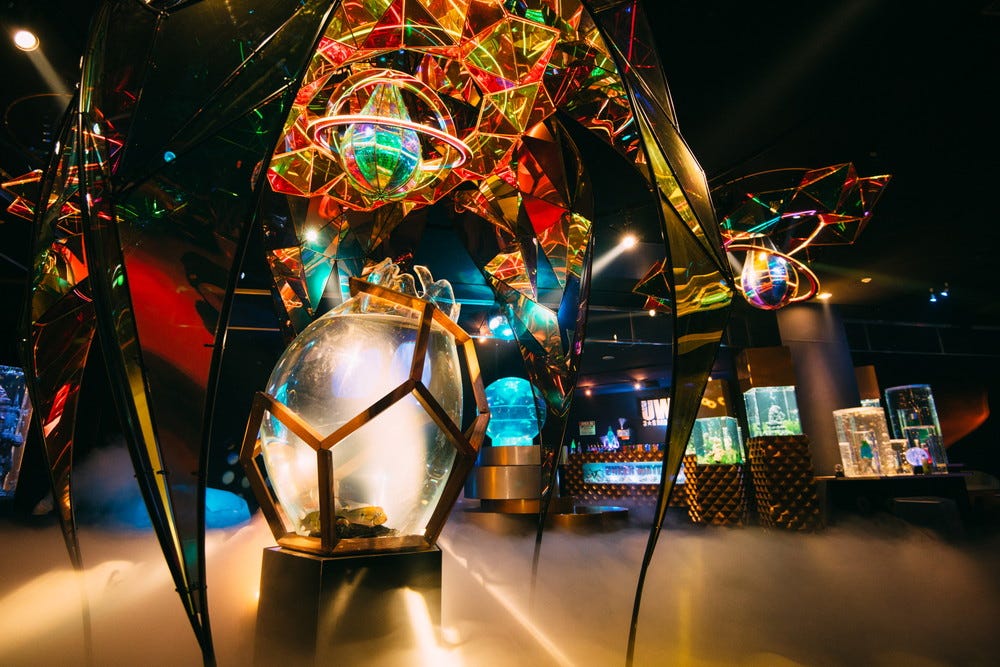 横浜に期間限定水族館「UNDER WATER SPACE」宇宙×アクアリウムの異空間