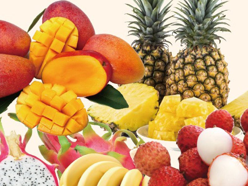 フードイメージ／画像提供：台湾祭実行委員会