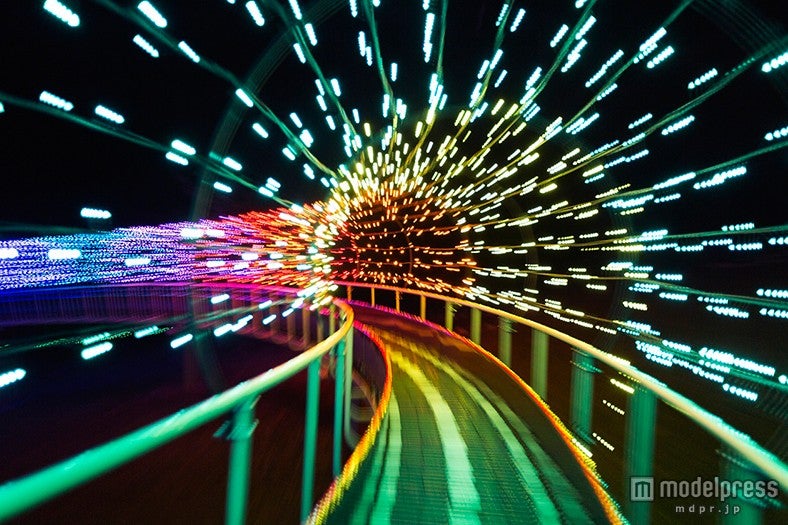 「グランイルミ」／画像提供：伊豆シャボテン公園