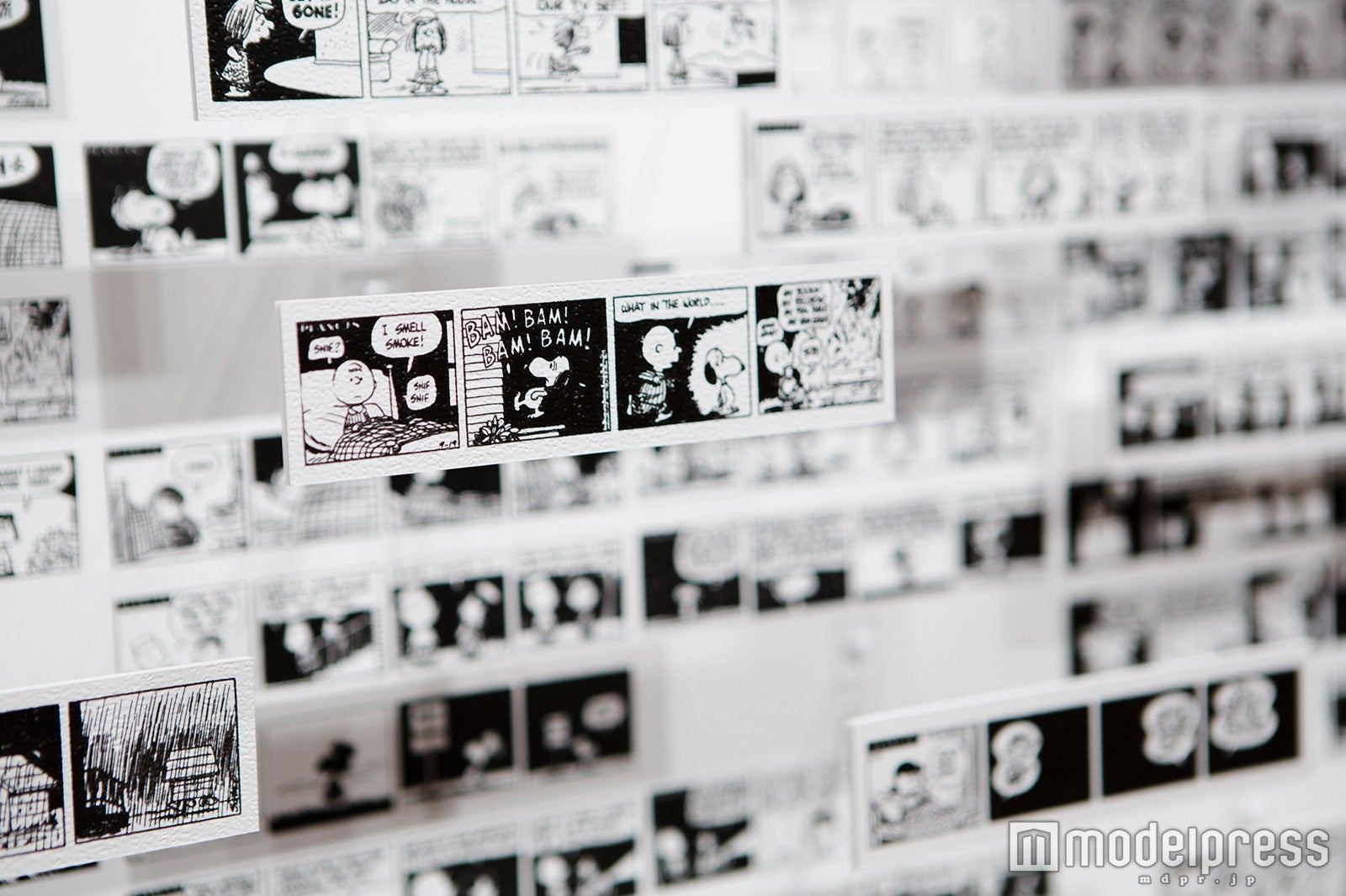 （C）Peanuts Worldwide LLC