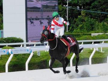 【地方競馬】フクノユリディズが園田FCスプリントを制し重賞2勝目