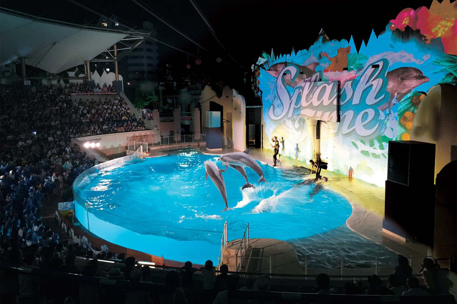 プロジェクションマッピング×イルカナイトライブ／画像提供：イルミナージュ事務局