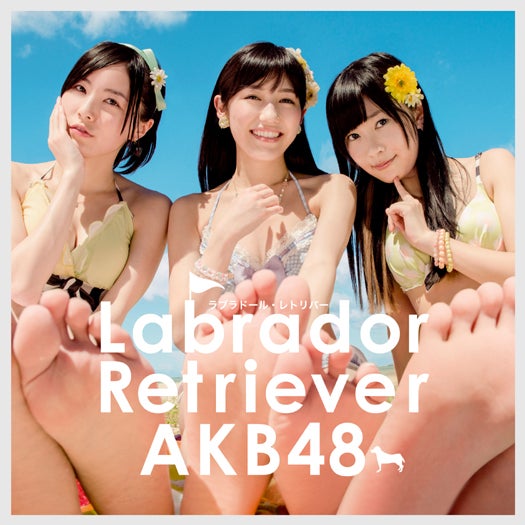 ラブラドール オファー レトリバー akb 水着