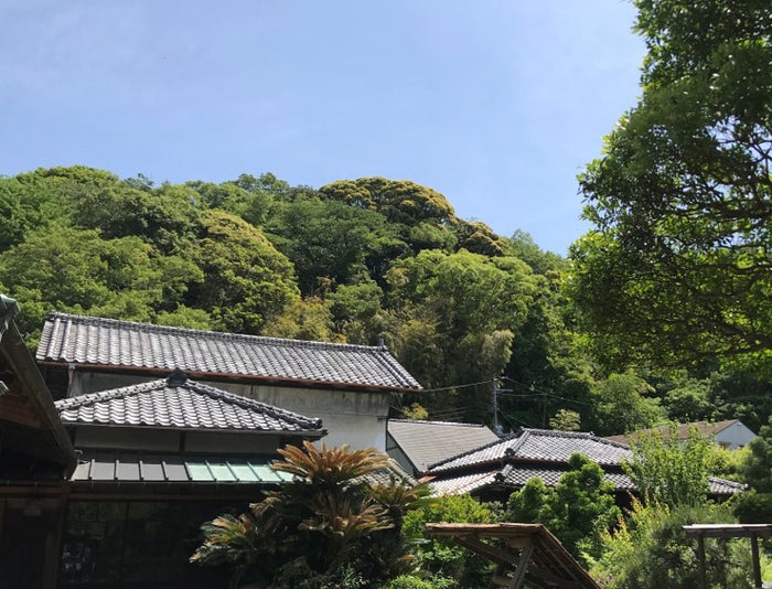 鎌倉 古今／画像提供：くらつぐ