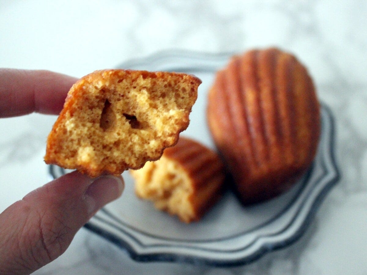 昨今流行りのしっとりジューシーなマドレーヌと比べると、ややドライでコシのある食感