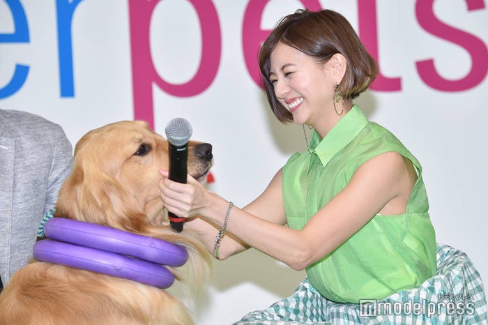 エルフ、伊藤千晃 (C)モデルプレス