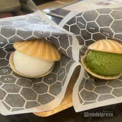 はちみつ最中アイス/左からミルク、抹茶(各380円)(C)モデルプレス