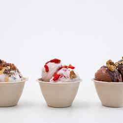 キッピーズ ココクリーム/画像提供:サザビーリーグ