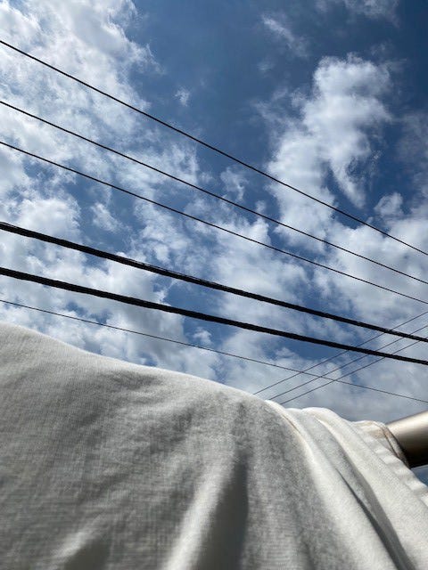 干した布団のにおいが本当に好きで、だから、少しでも晴れれば干します。いつも思うのですがどうして、あのにおいになるんですかね?(提供写真)