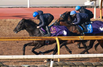 【大阪杯】クロワデュノール 休み明けでも順調 3頭併せで最先着 斎藤崇師「心配なく向かえる」