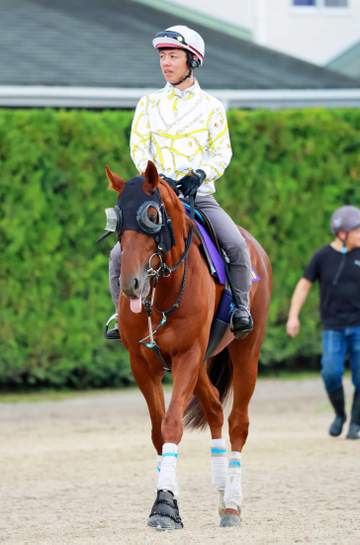 【天皇賞・秋】ダノンデサイル 4歳2強撃破だ データ唯一の減点1！24年ダービー馬が復権に燃える