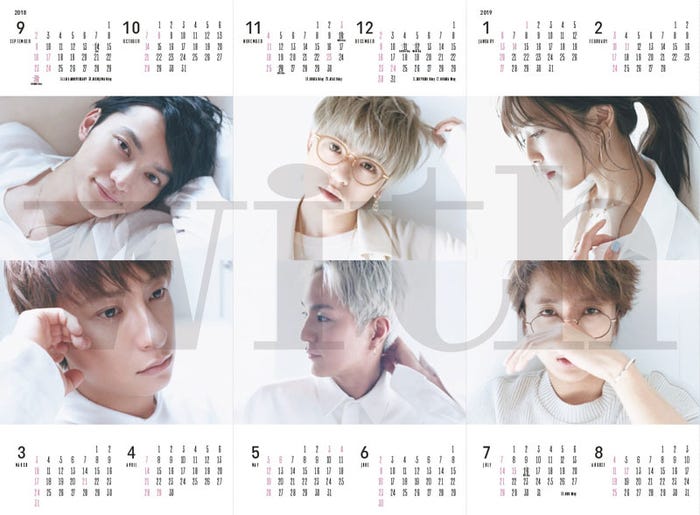 AAAの付録(提供画像)