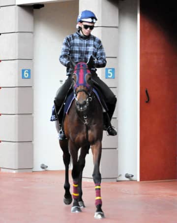 エンブロイダリーは阪神牝馬SからヴィクトリアMか安田記念へ