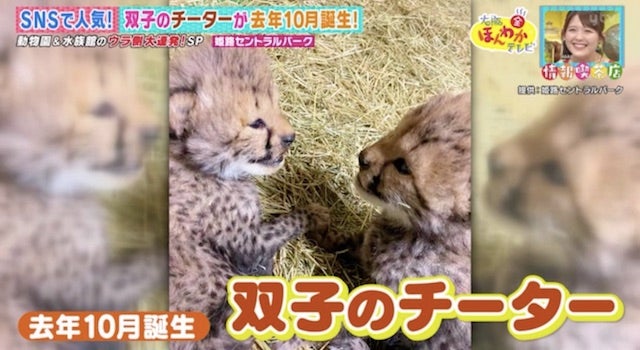 カワイイ姿がSNSで話題に…！人気の動物園・水族館のウラ側