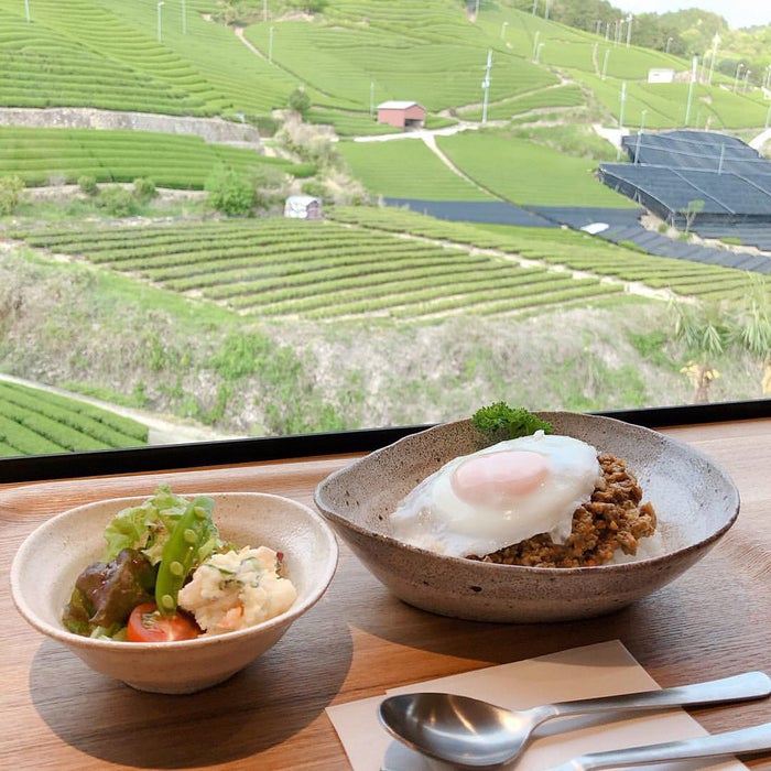 玉子がのったドライカレー／画像提供：dan dan cafe