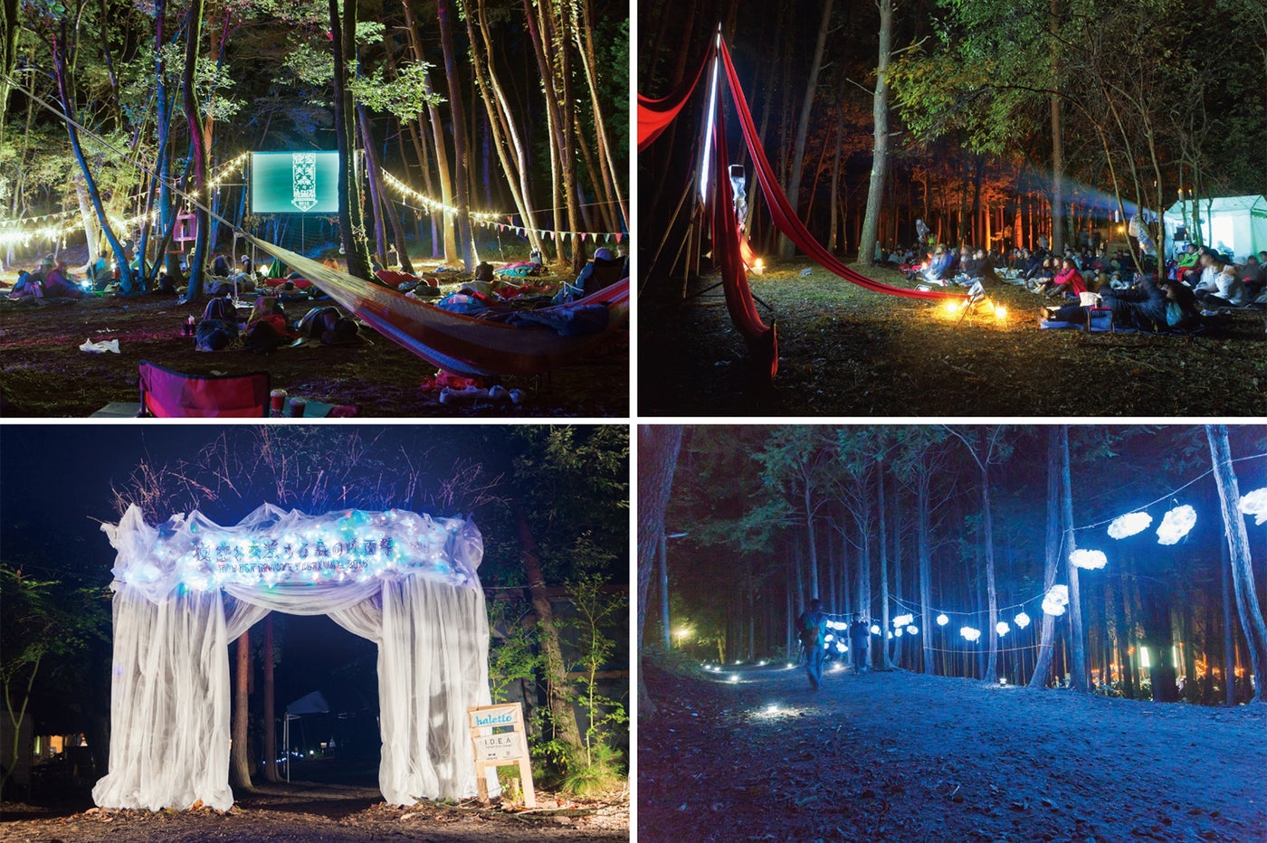 夜空と交差する森の映画祭／画像提供：森の映画祭実行委員会