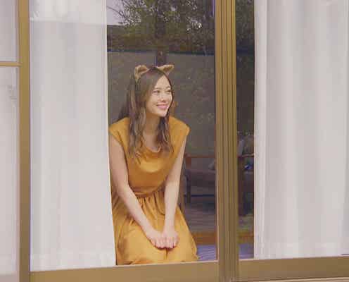 乃木坂46白石麻衣、キュートな“猫姿”披露 北村匠海も夢中に