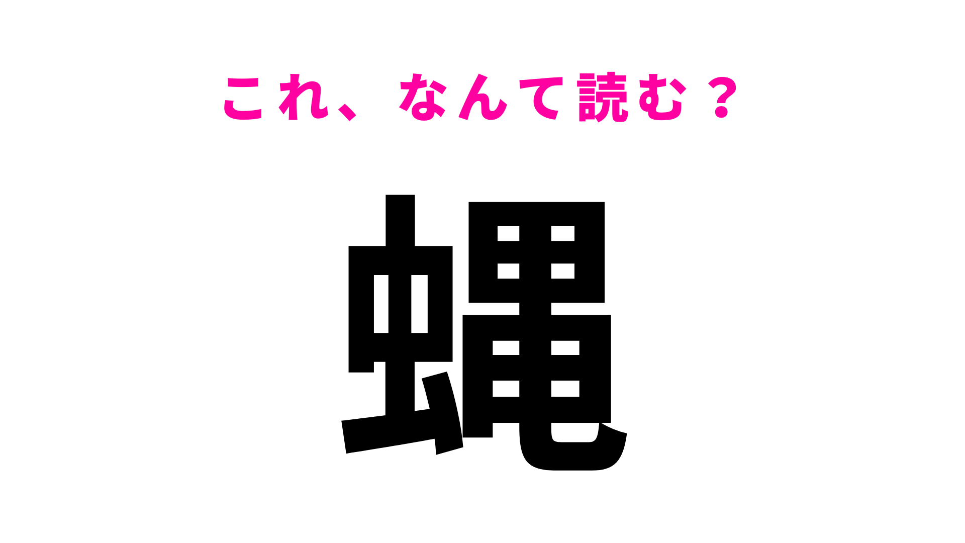 【漢字クイズ】「蝿」はなんて読む？ひらがな2文字の虫の名前です！