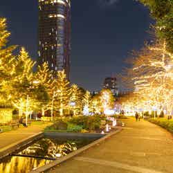 MIDTOWN WINTER LIGHTS／画像提供：東京ミッドタウンマネジメント