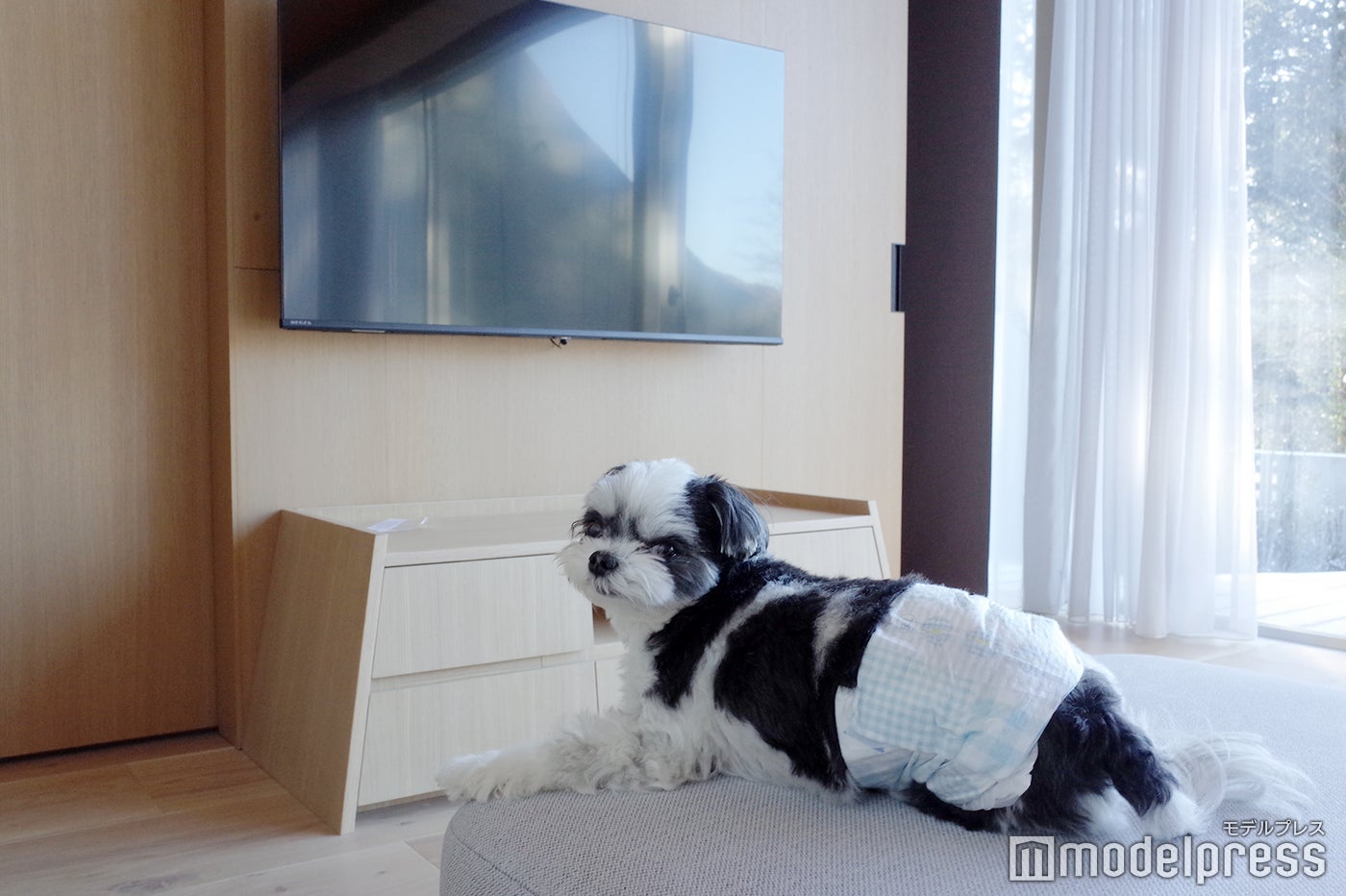 RETONA HAKONE（C）モデルプレス