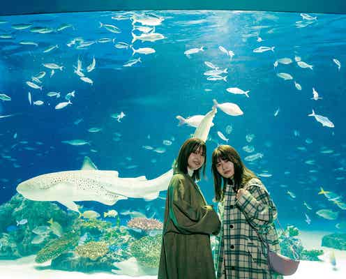 櫻坂46渡邉理佐、長濱ねると約3年ぶり共演 メモリアルブックゲストに登場<抱きしめたくなる瞬間>