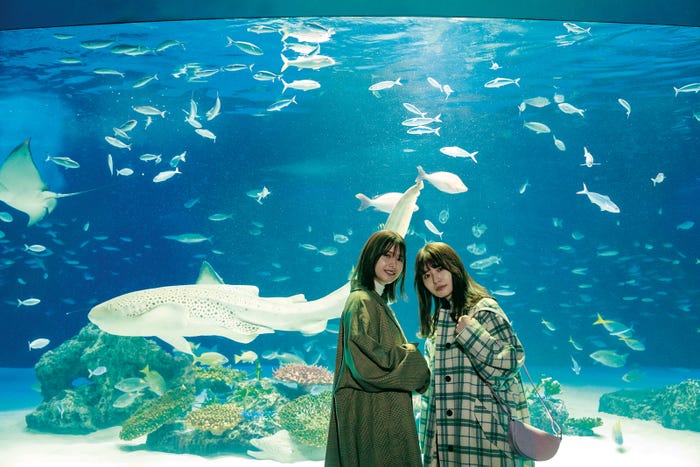 渡邉理佐、長濱ねる(C)柴田フミコ/集英社