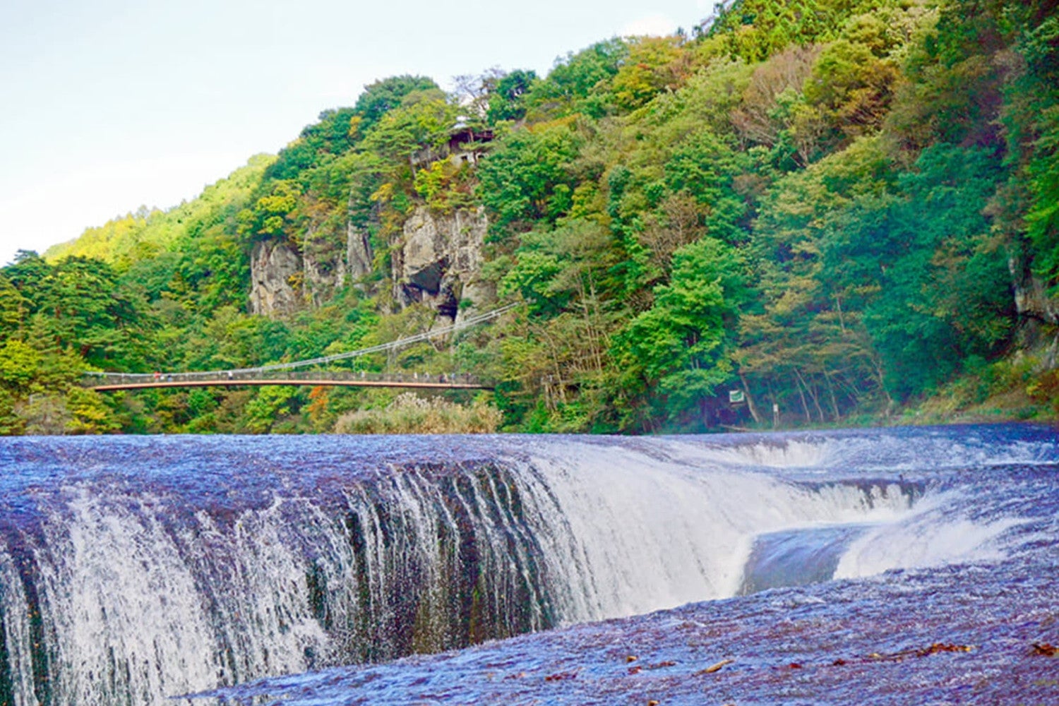 沼田市／提供画像