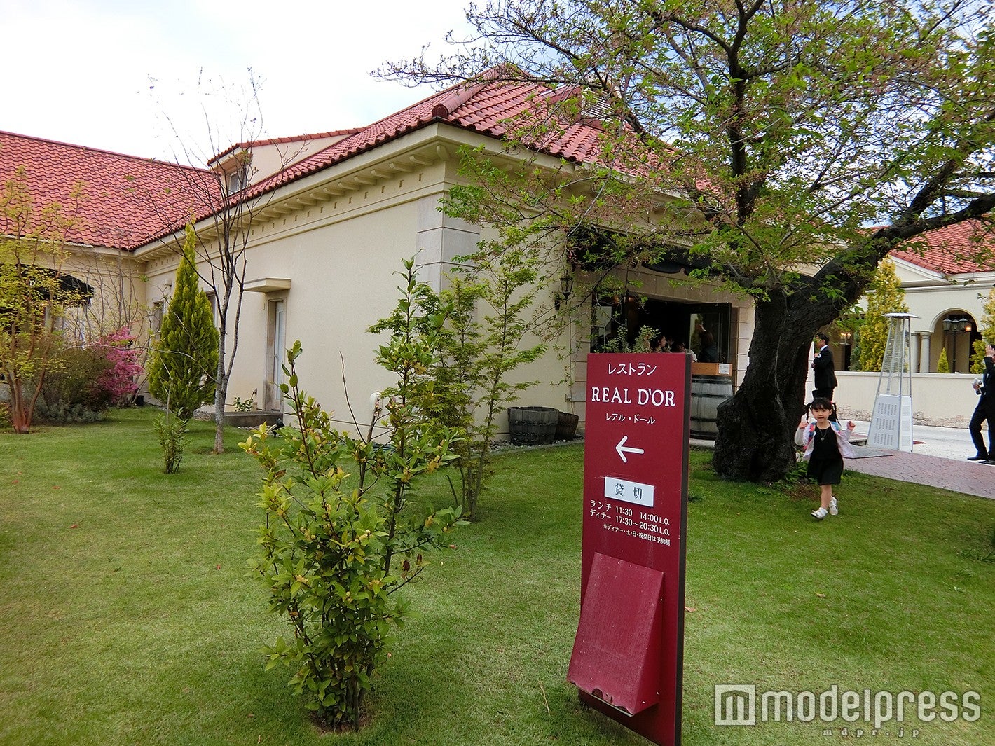 レアル・ドール（C）モデルプレス