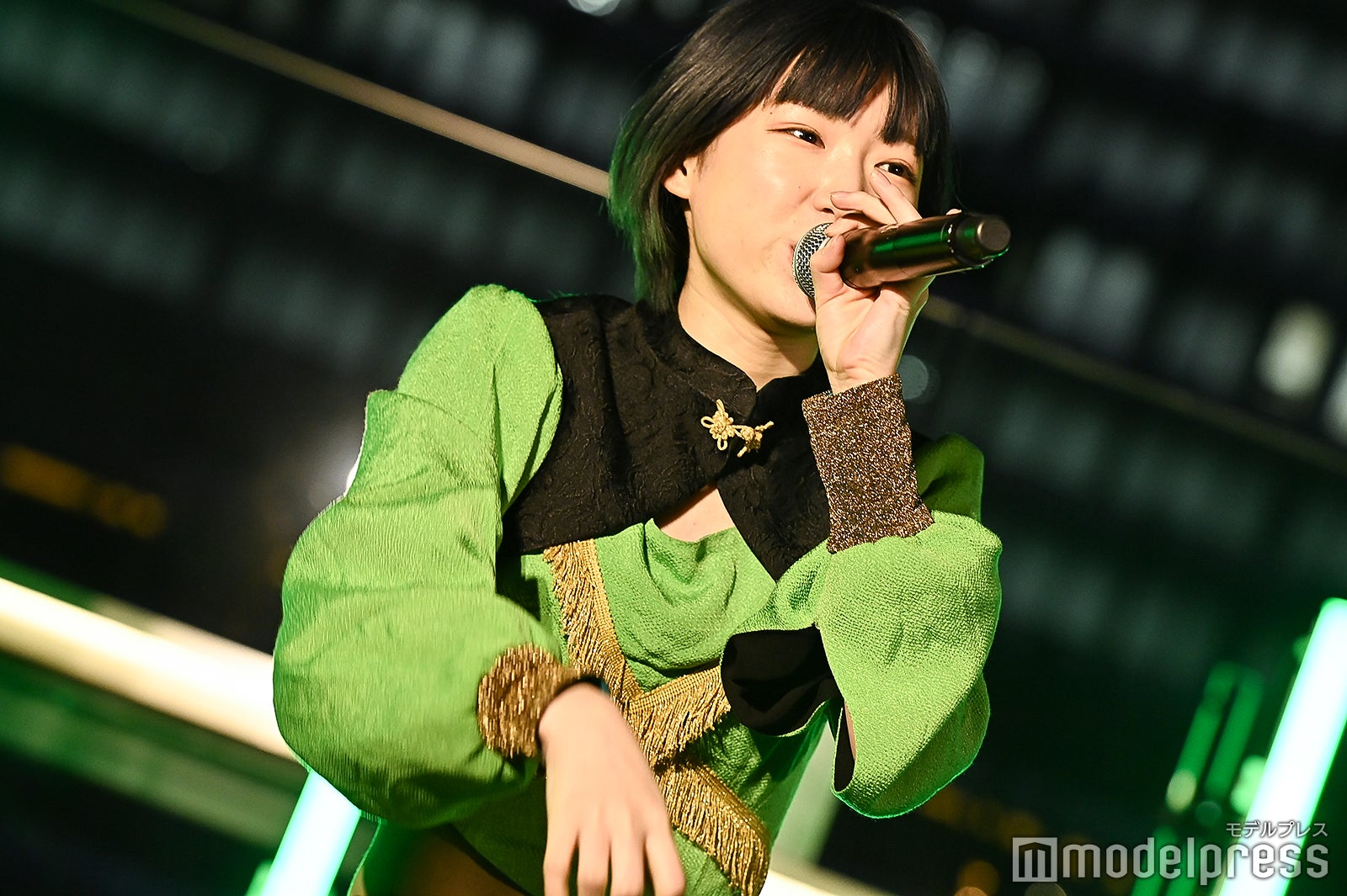 豆柴の大群（C）モデルプレス