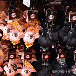 (C)モデルプレス