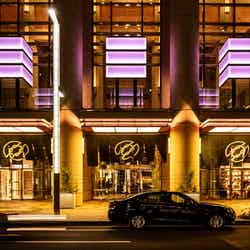 夜は一層幻想的に/画像提供:日本橋桜フェスティバル実行委員会