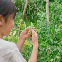 MUJI BASE KAMOGAWA(提供写真)