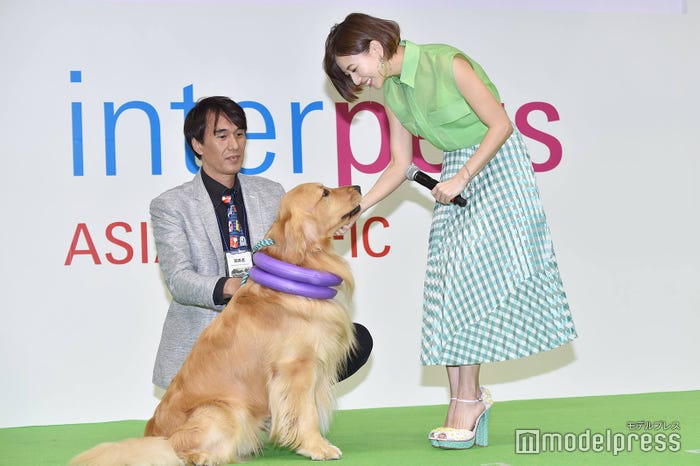 エルフ、伊藤千晃 (C)モデルプレス