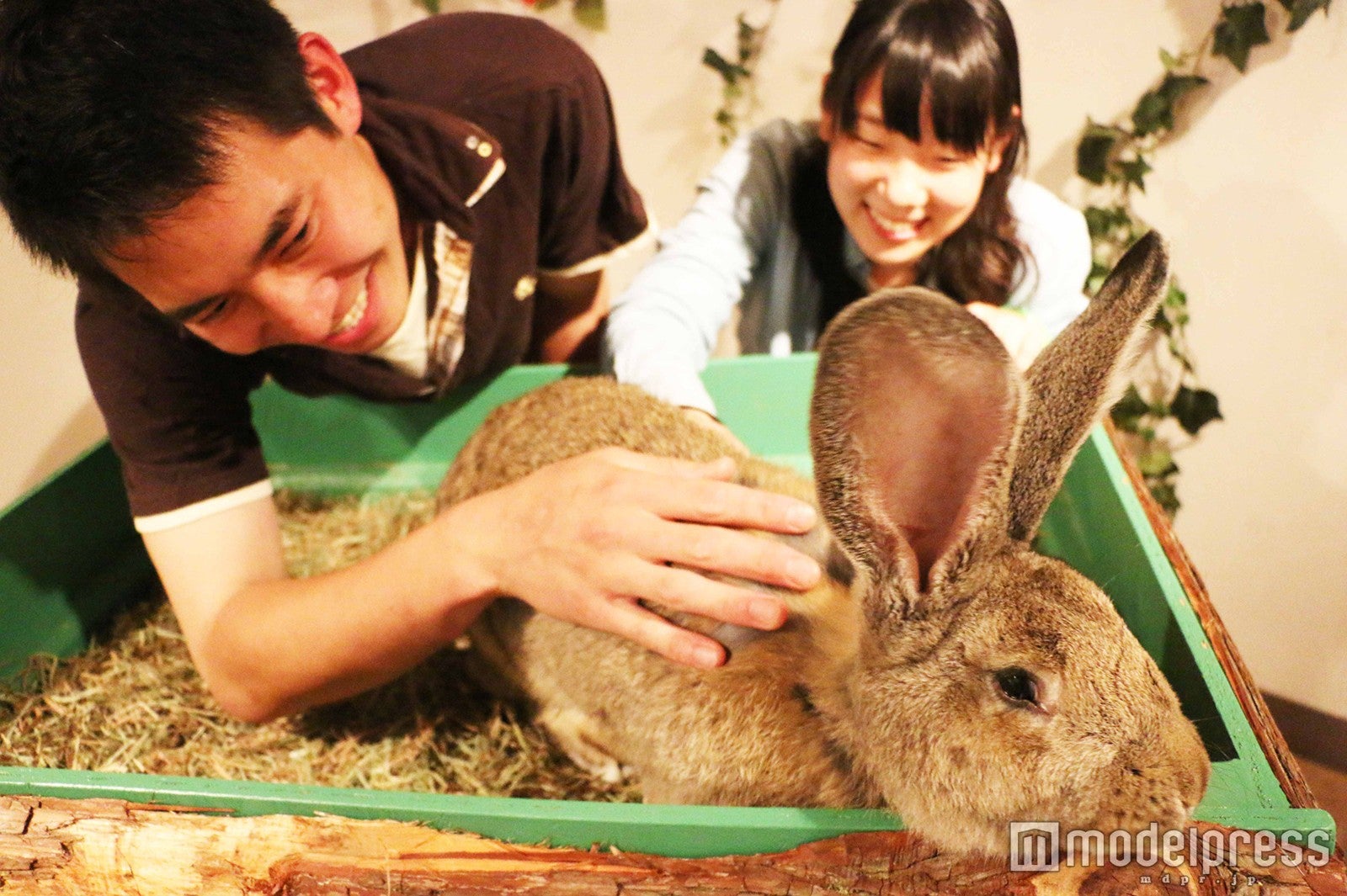 ナイト「タッチ de Zoo」／画像提供：伊豆シャボテン公園