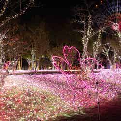 ギャラクシーエリア/画像提供:みろくの里