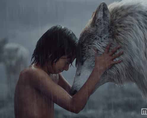 ディズニー映画「ジャングル・ブック」日本公開決定
